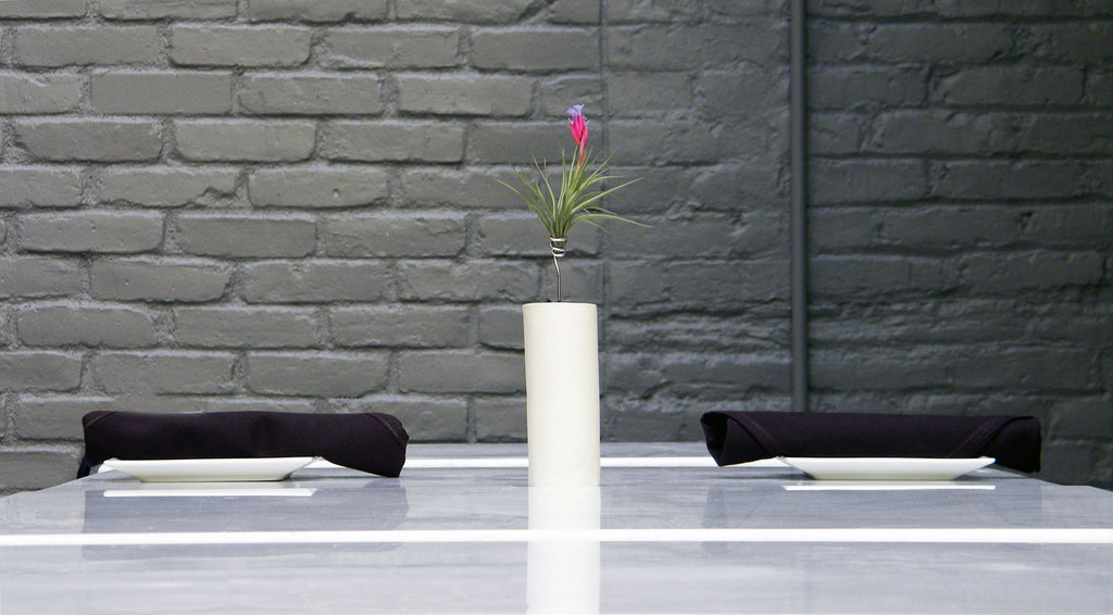 AirplantVessel (ceramic)