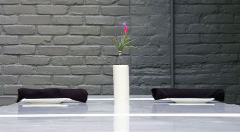 AirplantVessel (ceramic)
