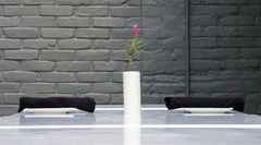AirplantVessel (ceramic)