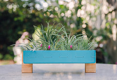 AirplantFrame (square)