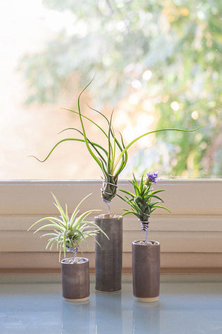 AirplantVessel (glazed ceramic)