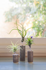 AirplantVessel (glazed ceramic)
