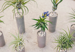 AirplantVessel (glazed ceramic)