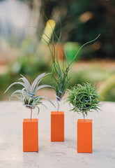 AirplantVessel (mini)